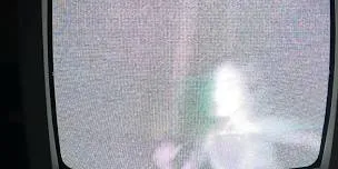 SAMIA hero image
