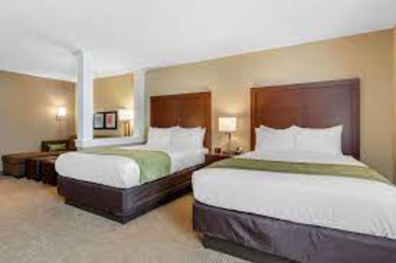 Double Queen Standard Guest Room