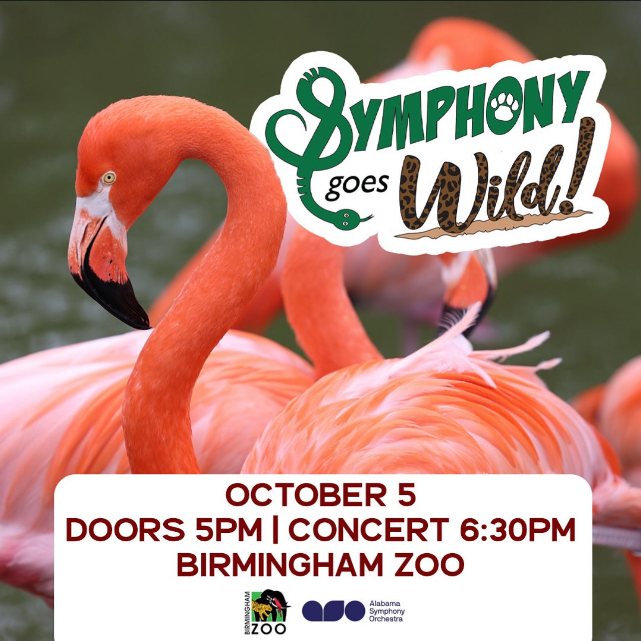 The Alabama Symphony Orchestra “Goes Wild” at the Birmingham Zoo with Special Concert October 5