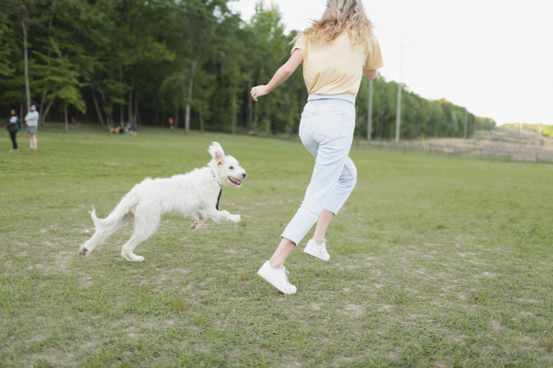 Remy's Dog Park at Red Mountain Park