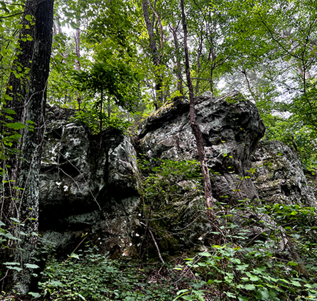 Sandstone Ridge at Ruffner Mountain