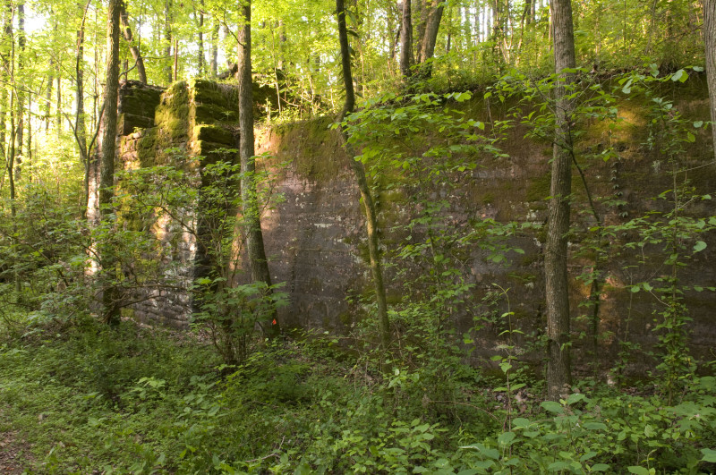 Ruffner Mountain