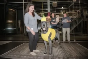 Hand in Paw’s Barktoberfest