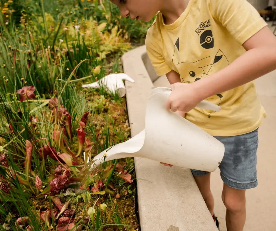 Garden Pop-Up hero image