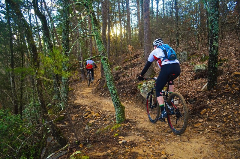 Biking and hiking trails at Turkey Creek Nature Preserve