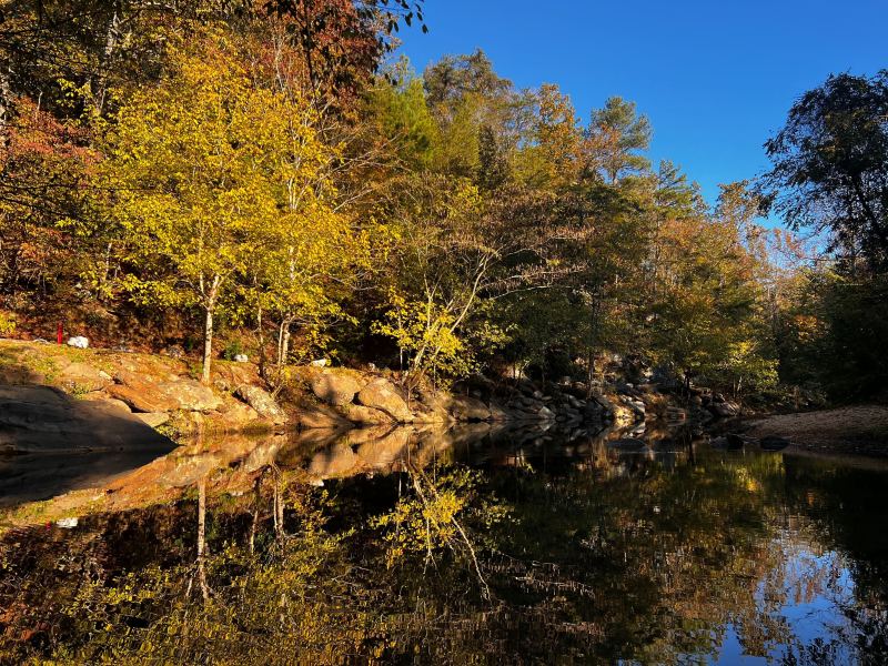 Turkey Creek Nature Preserve
