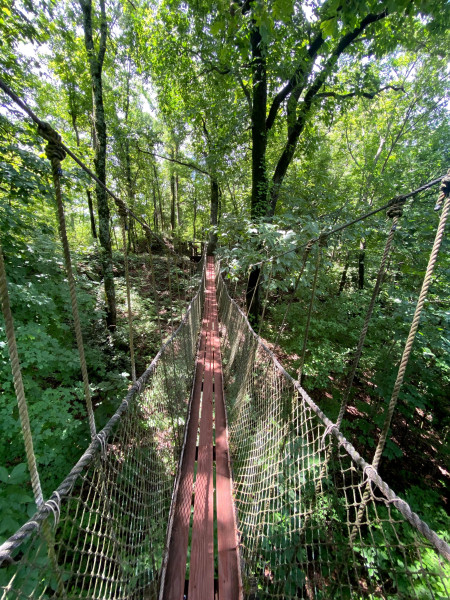 Tree house at Red Mountain Park