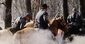 Living History Event