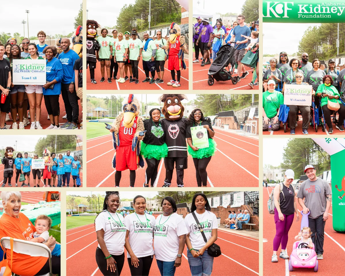 2026 Birmingham Kidney Walk & Celebration hero image