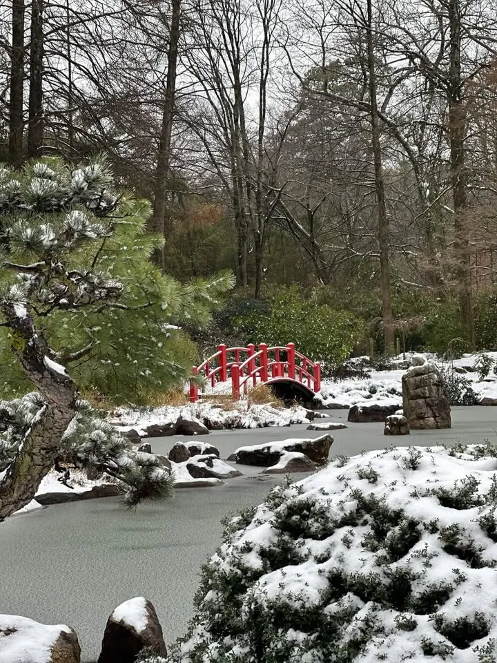 The Foundations of Japanese Garden Design hero image