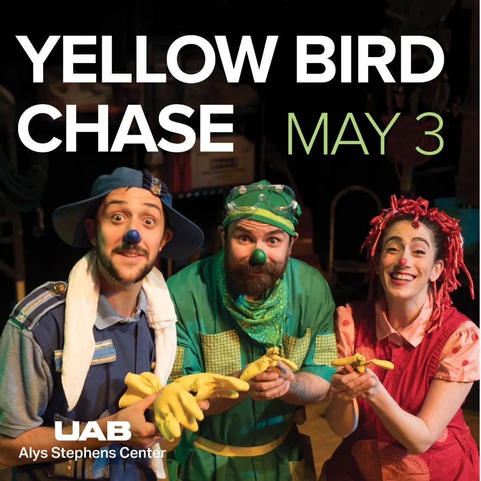 Yellow Bird Chase hero image