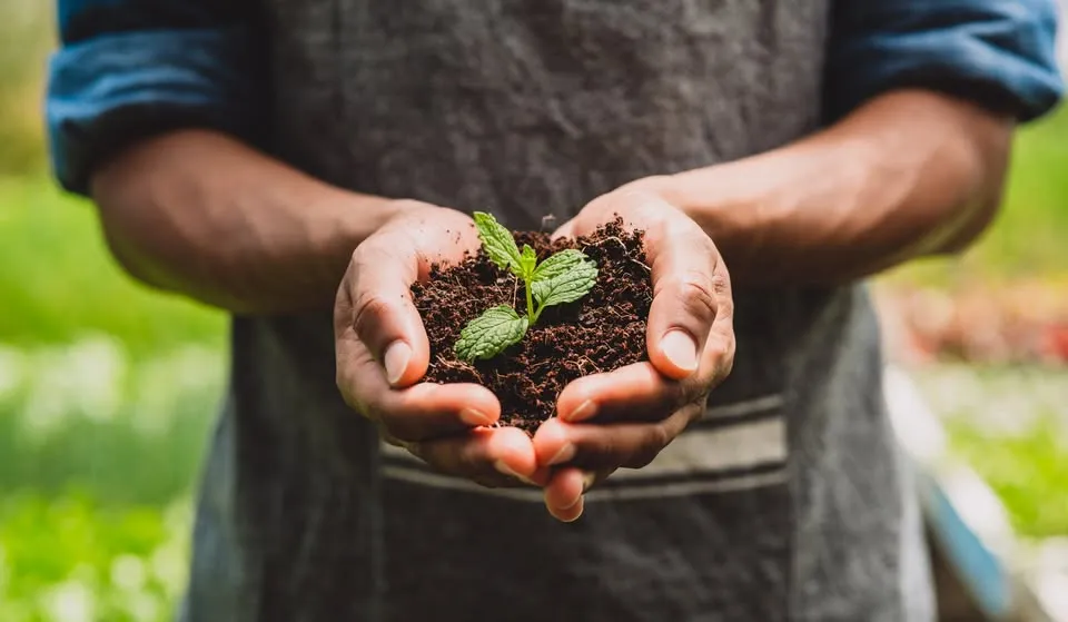 Earth Day Celebration