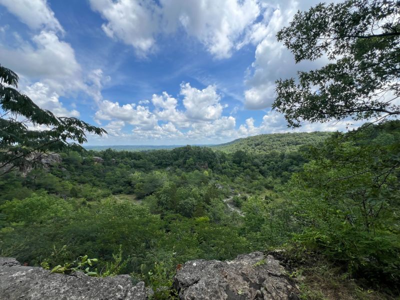 Overlook at Ruffner Mountain