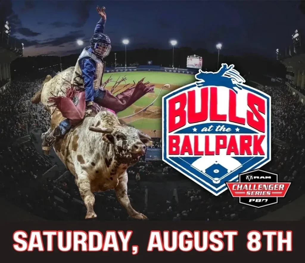 Bulls At The Ballpark