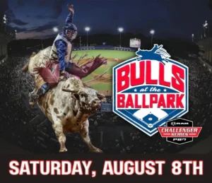 Bulls At The Ballpark