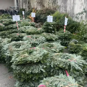 Red Mountain Garden Club’s 44th Annual Greenery Sale